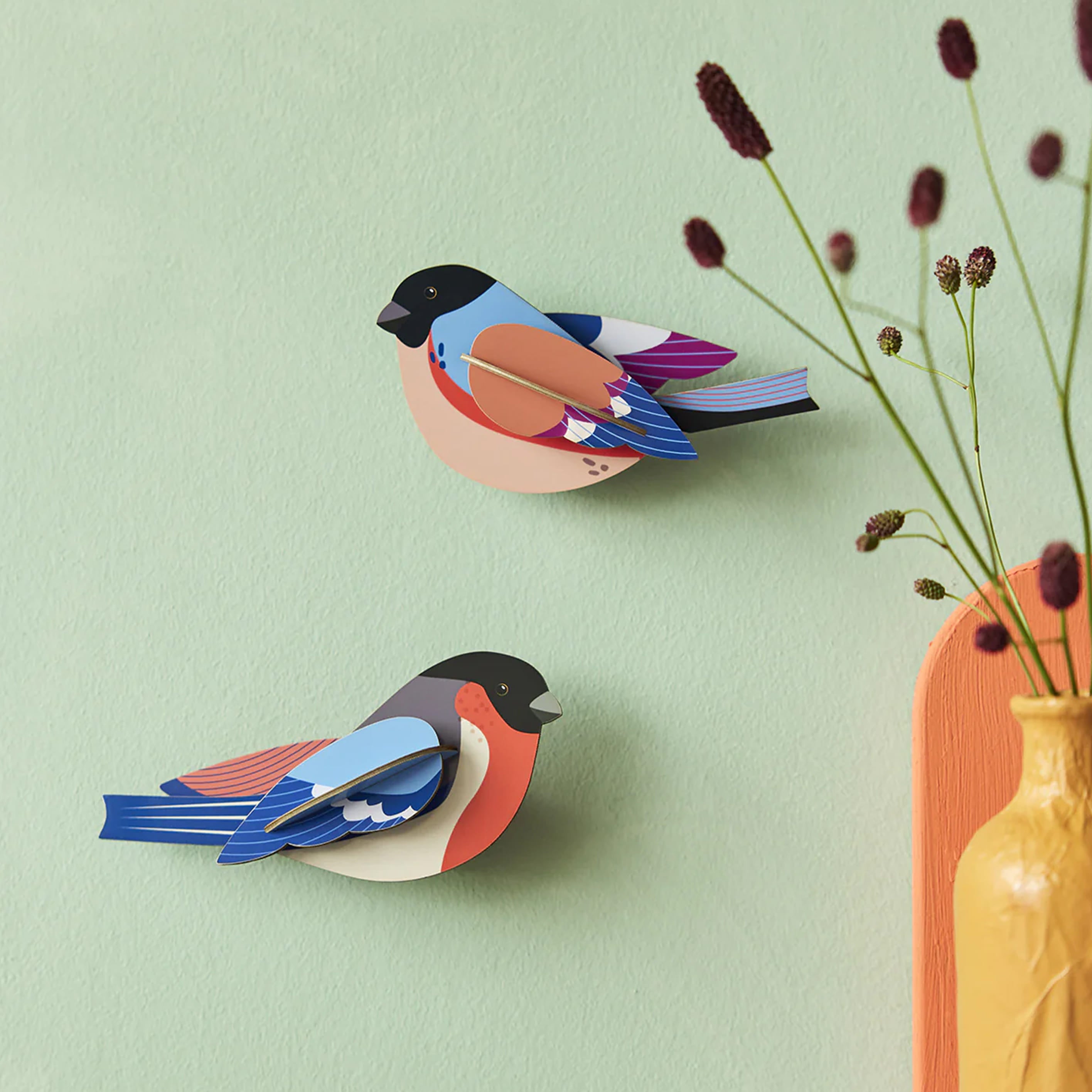 3D Cardboard Model Kit | Wall Art | B6 | Garden Birds | Finches | Studio Roof