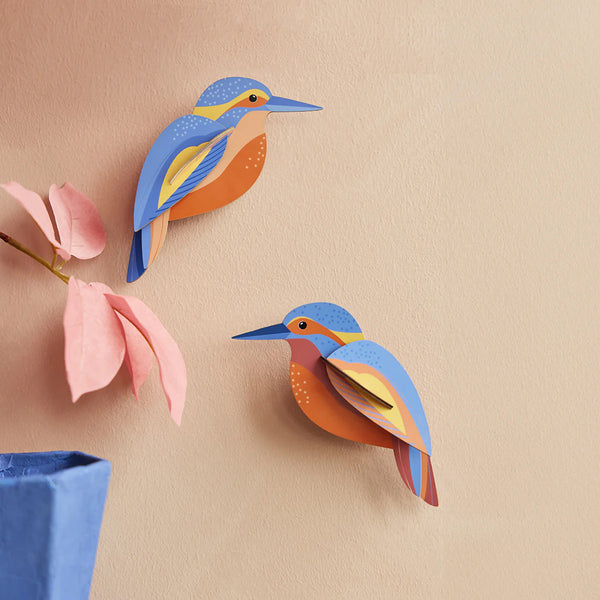 3D Cardboard Model Kit | Wall Art | B6 | Garden Birds | Kingfishers | Studio Roof