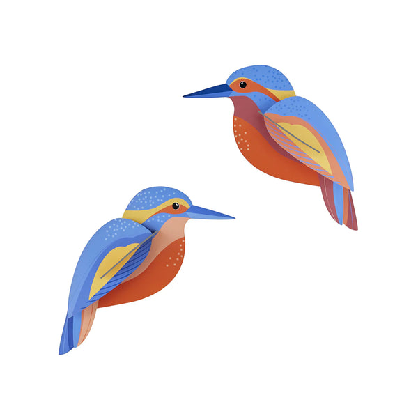 3D Cardboard Model Kit | Wall Art | B6 | Garden Birds | Kingfishers | Studio Roof