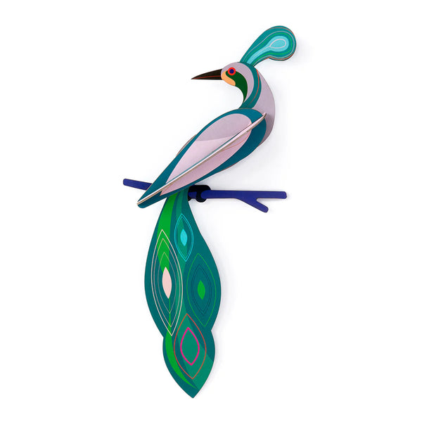 3D Cardboard Model Kit | Wall Art | B5 | Paradise Birds | Fiji | Studio Roof