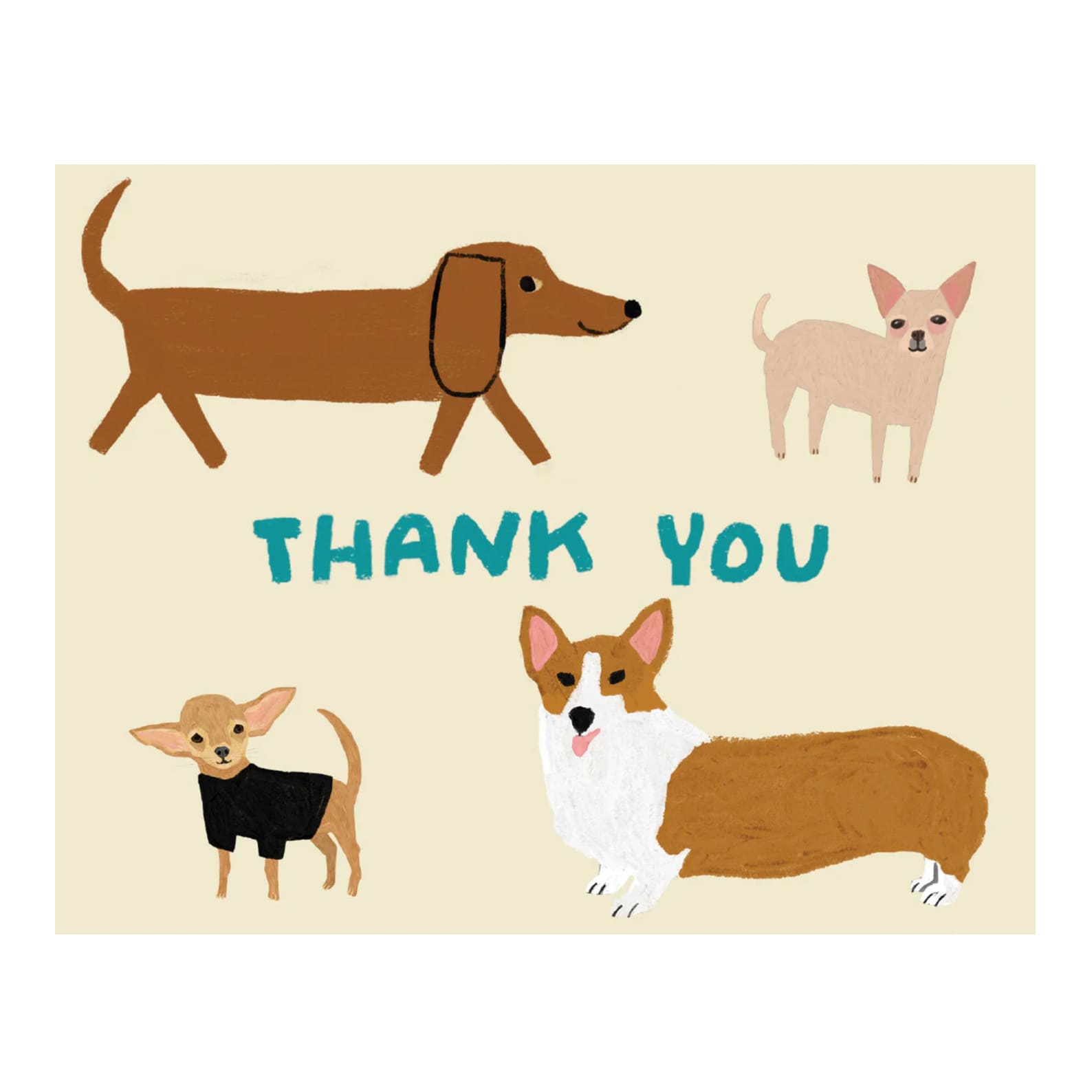 All Occasion & Thank You Card | Boxed Set | Shaggy Dogs | Roger La Borde