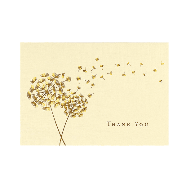 Thank You Card | Boxed Set | Thank You | Peter Pauper Press | 11 DESIGN OPTIONS AVAILABLE