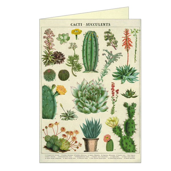 All Occasion Card | Succulents | Cavallini & Co.