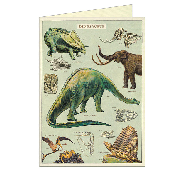 All Occasion Card | Dinosaur | Cavallini and Co.