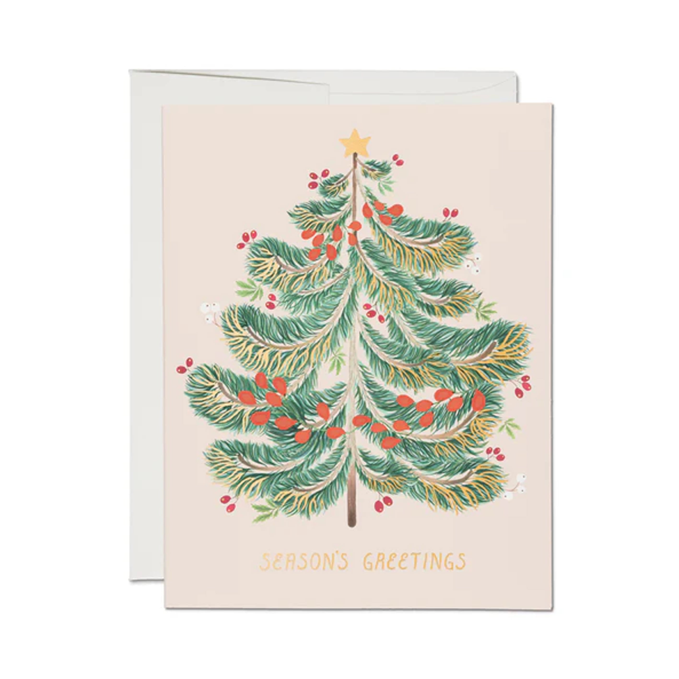 Christmas Card | Festive Evergreen | Red Cap Cards