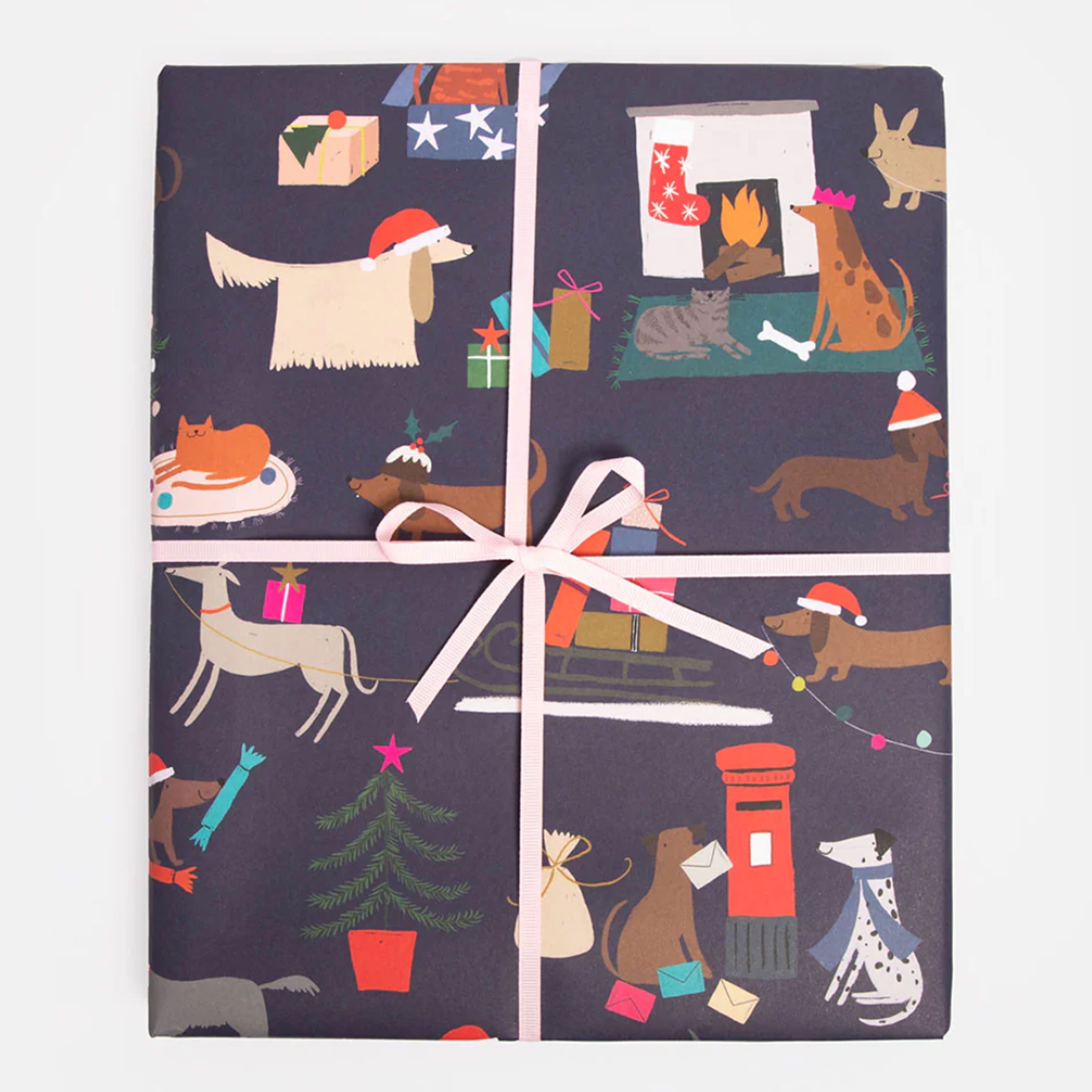 Christmas Wrapping Paper | Festive Dogs & Cats | Caroline Gardner