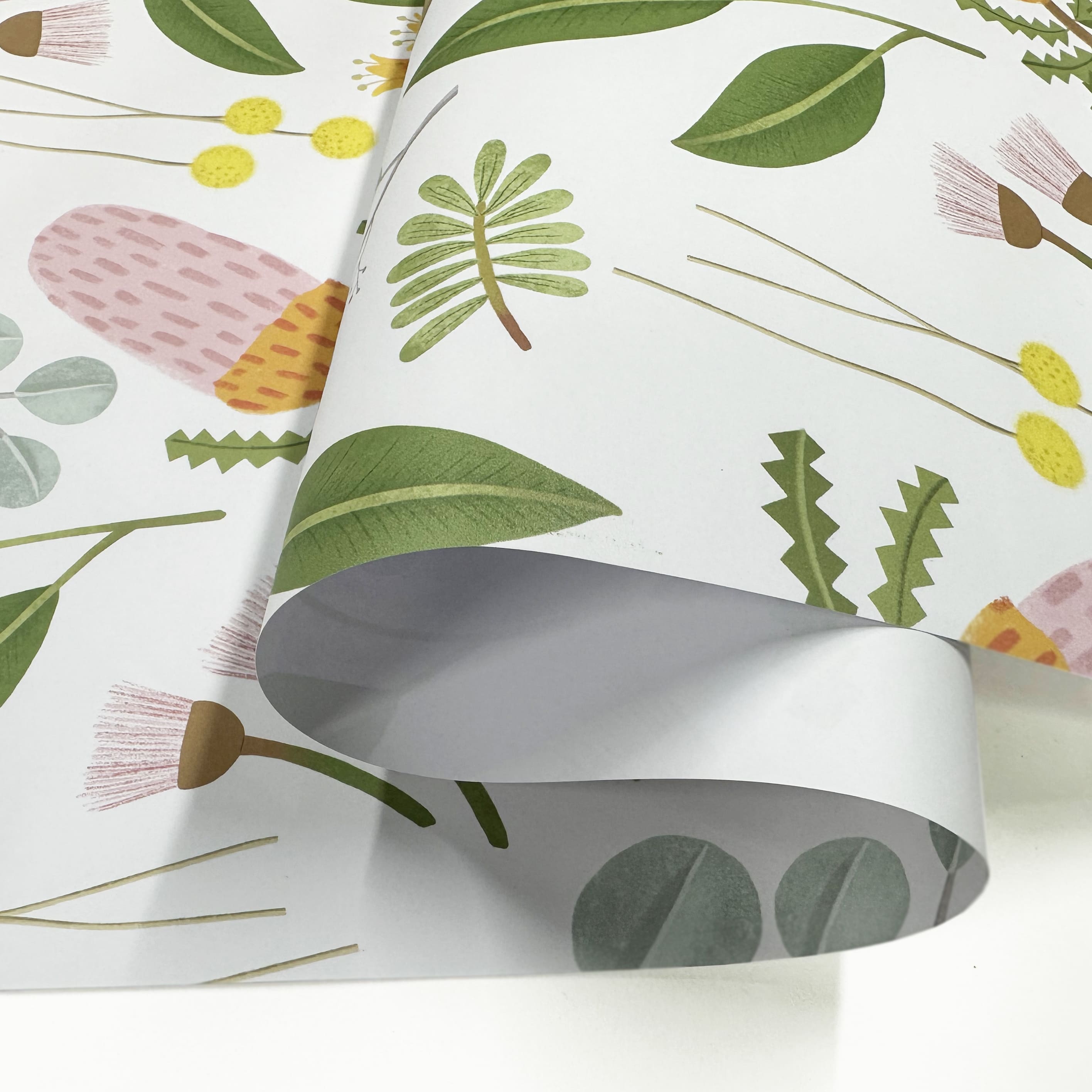 Wrapping Paper | Banksia | Nuovo Group