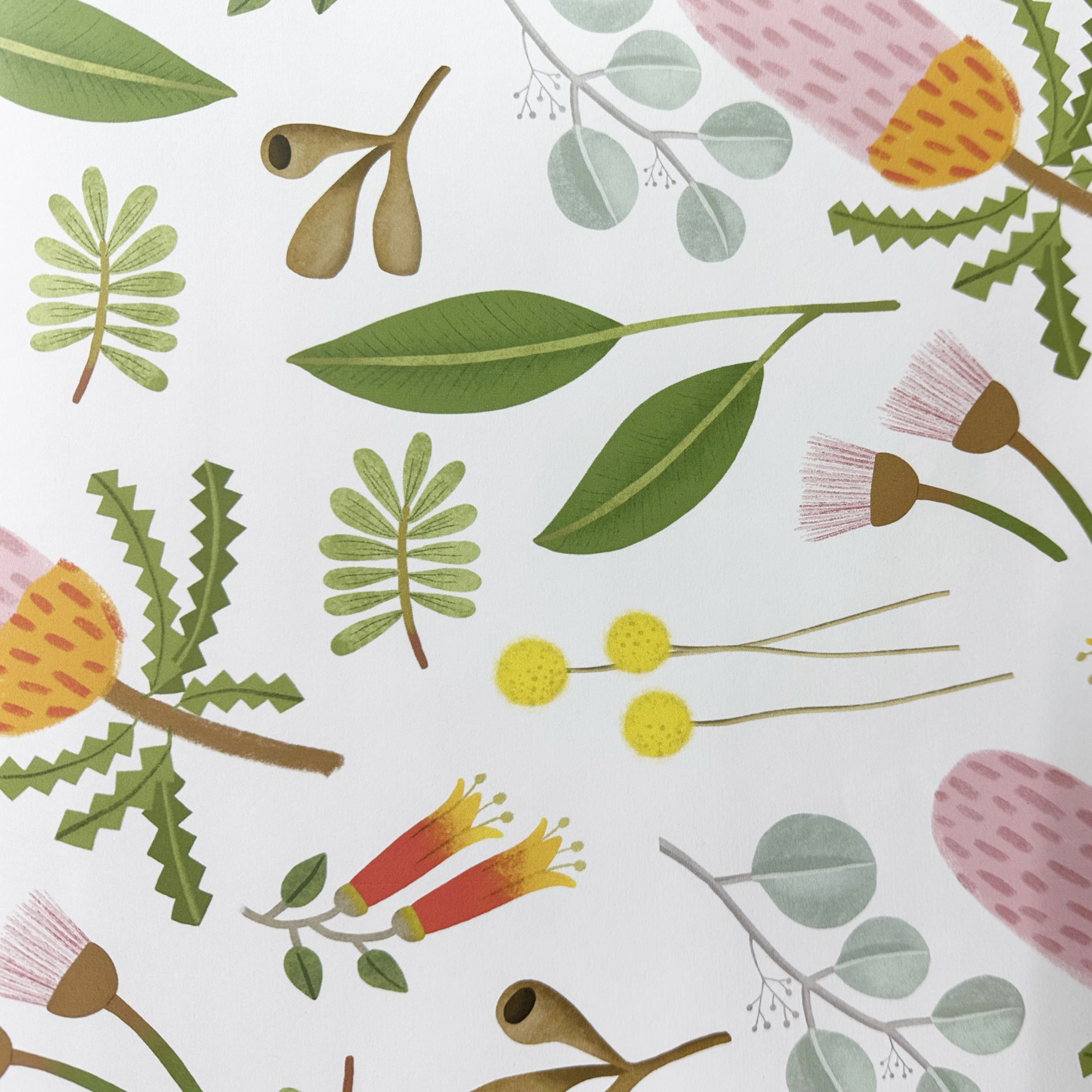 Wrapping Paper | Banksia | Nuovo Group