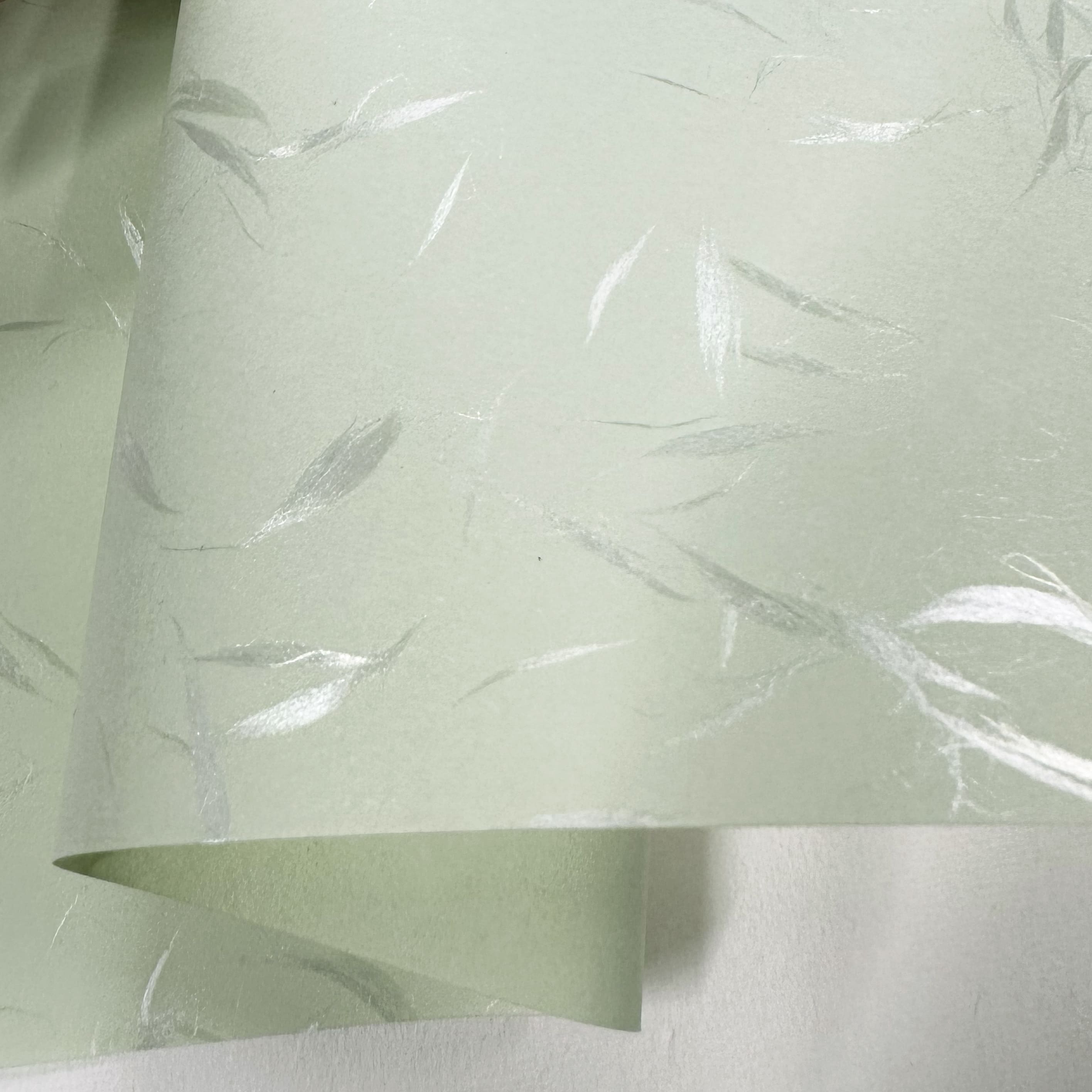 Japanese Paper | Tairei Hikari | 5 COLOUR OPTIONS AVAILABLE