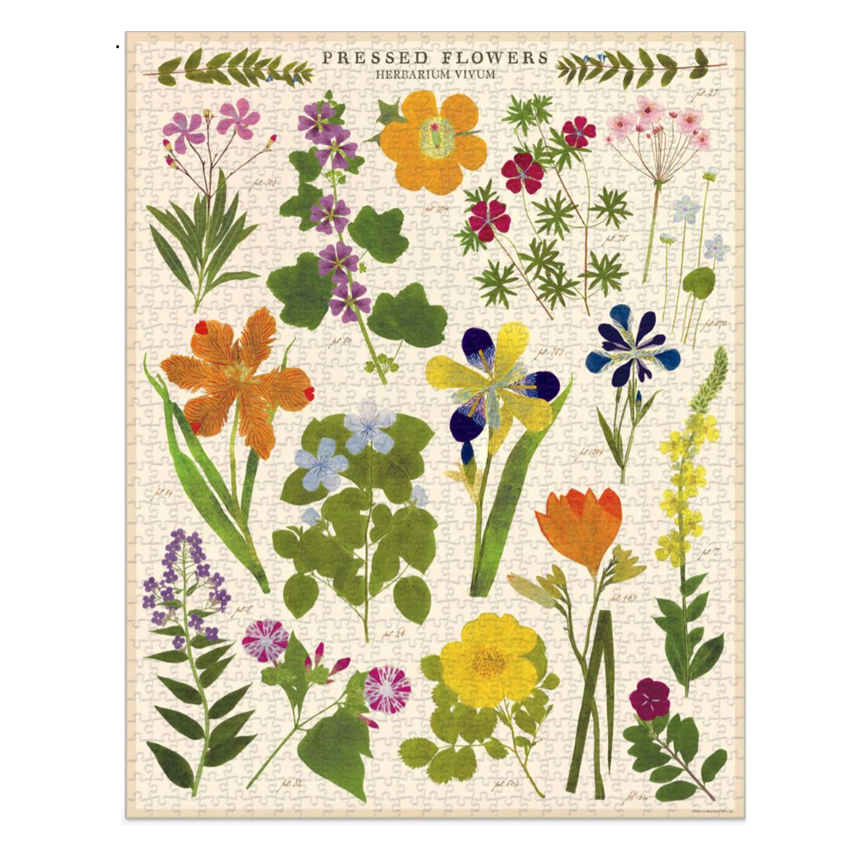 Vintage Jigsaw Puzzle | 1000 Pieces | Pressed Flowers | Cavallini and Co.