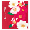 Kami Letter Writing Set | Winter Camellia | Midori