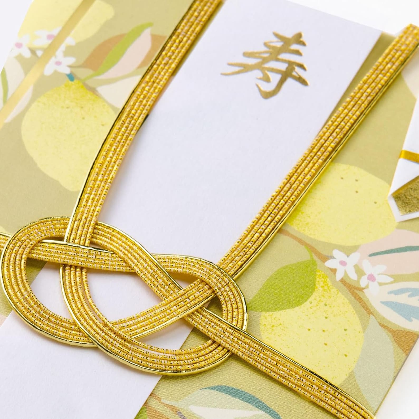 Gift Money Envelope | Hanahiyori | Camellia | Iroha