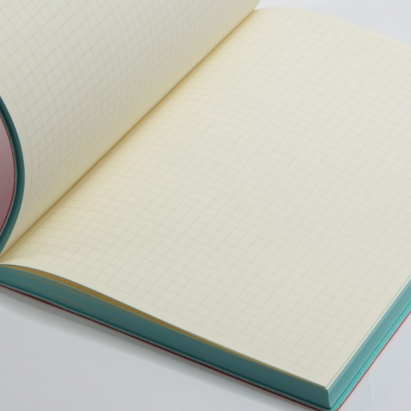 Notebook | Lined | A6 | Daycraft | 9 COLOUR OPTIONS AVAILABLE