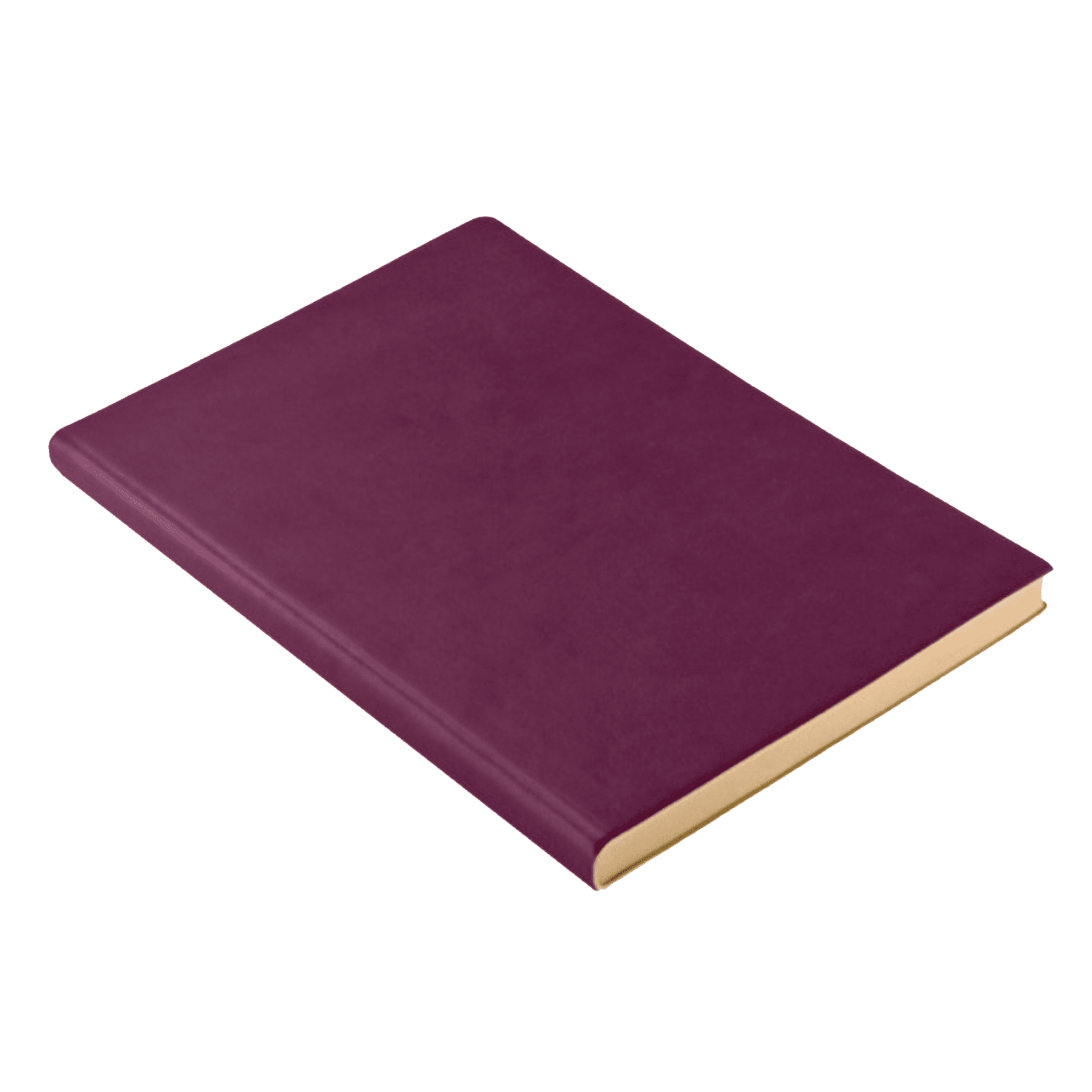 Notebook | Lined | A6 | Daycraft | 9 COLOUR OPTIONS AVAILABLE