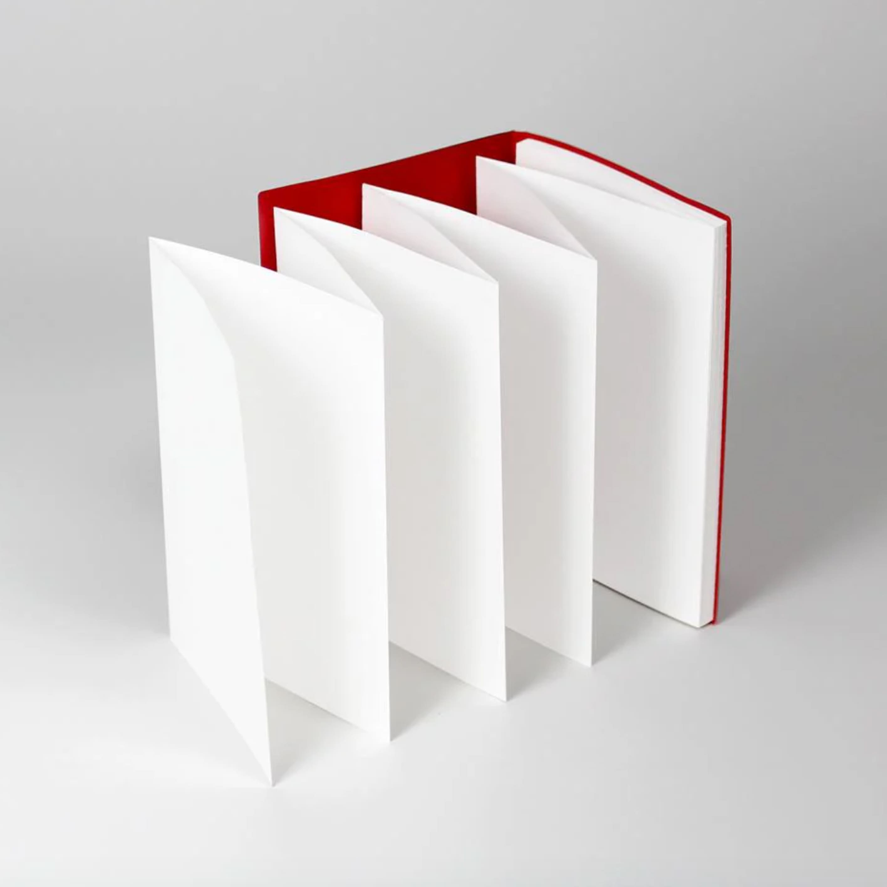 Notebook | Accordion | Blank | Memo | Yamazkura | +Lab | 4 COLOUR OPTIONS AVAILABLE