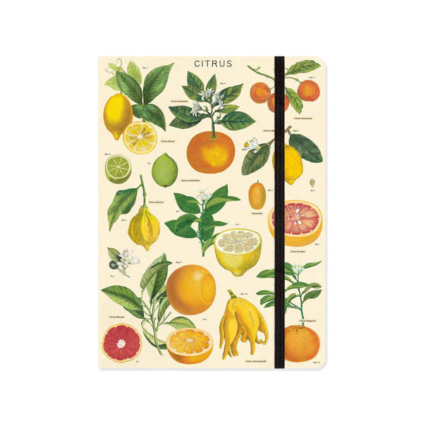 Notebook | A5 | Lined | Citrus | Cavallini & Co.