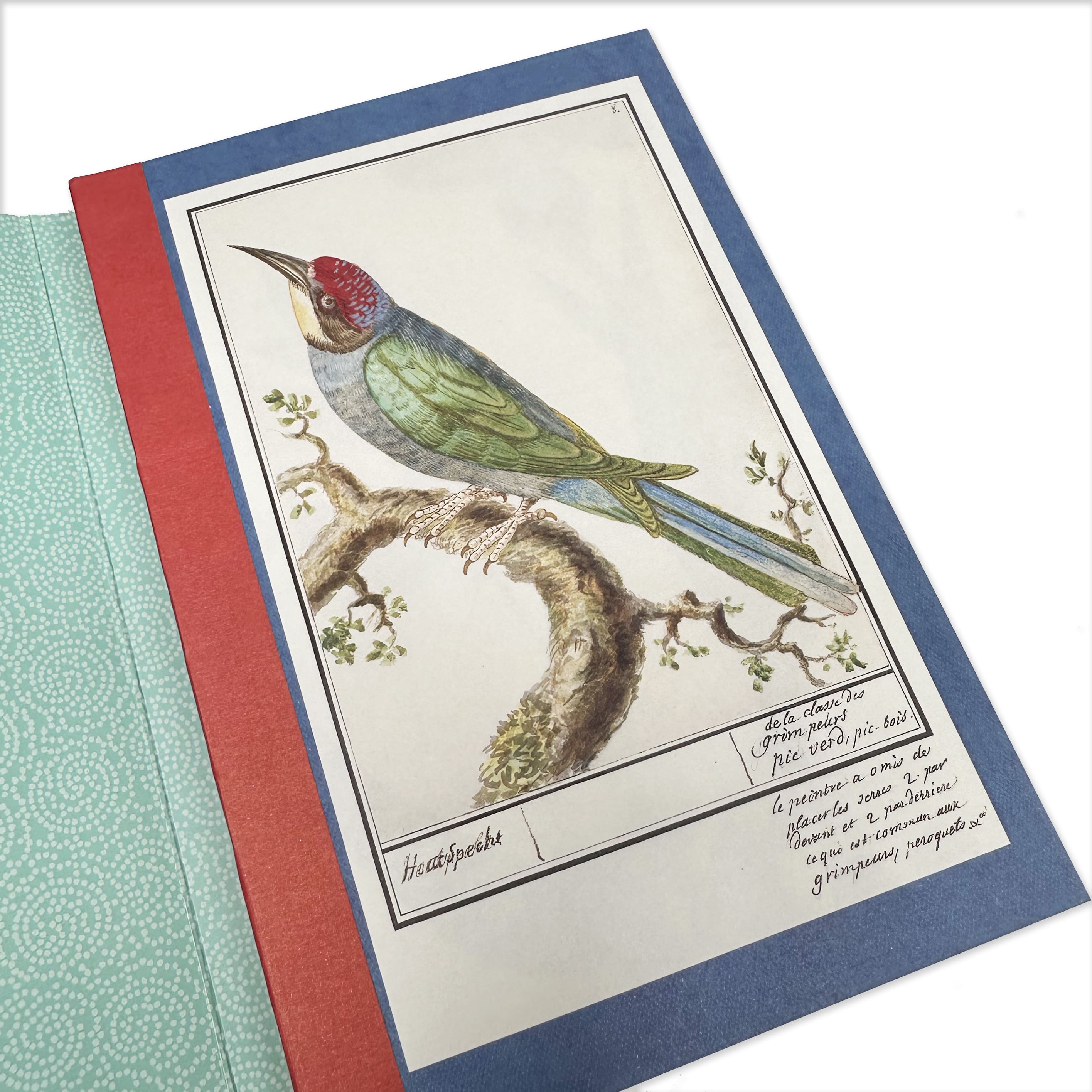 Notebook | Illustrated | A5 | Coleurs Nature | Alibabette Editions