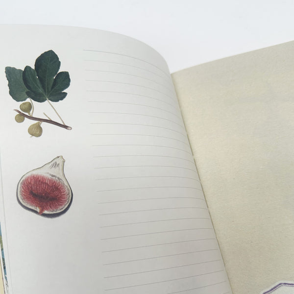 Notebook | Illustrated | A5 | En Provence | Alibabette Editions