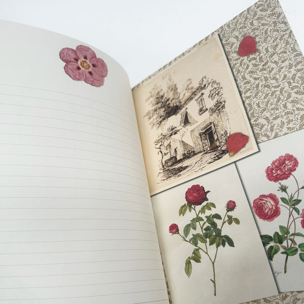 Notebook | Illustrated | A5 | En Provence | Alibabette Editions