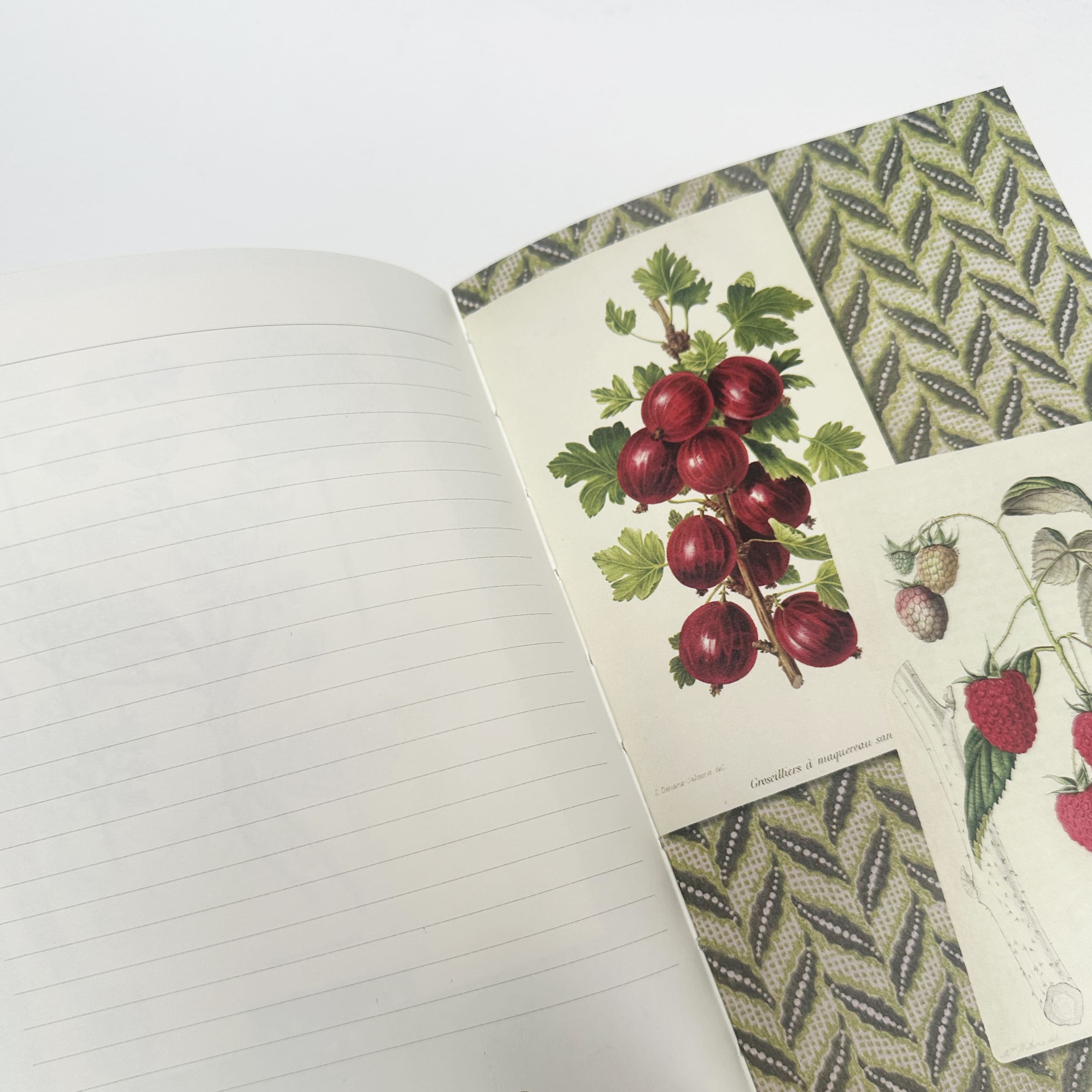 Notebook | Illustrated | A5 | Au Jardin In The Garden | Alibabette Editions