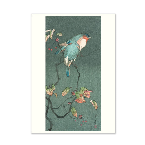 All Occasion Card | Boxed Set | Haiku Japanese Art & Poetry | Pomegranate