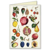 All Occasion Card | Boxed Set | Jardin | Cavallini & Co.