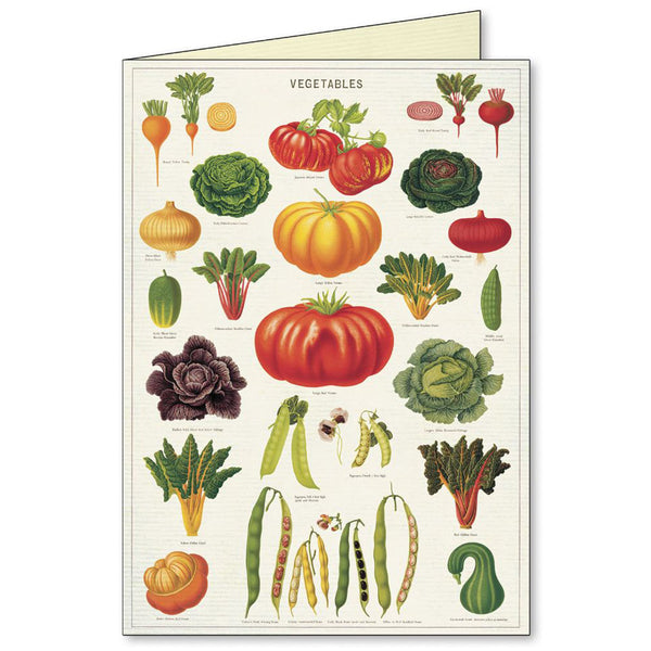 All Occasion Card | Boxed Set | Jardin | Cavallini & Co.