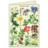 All Occasion Card | Boxed Set | Wildflowers | Cavallini & Co.