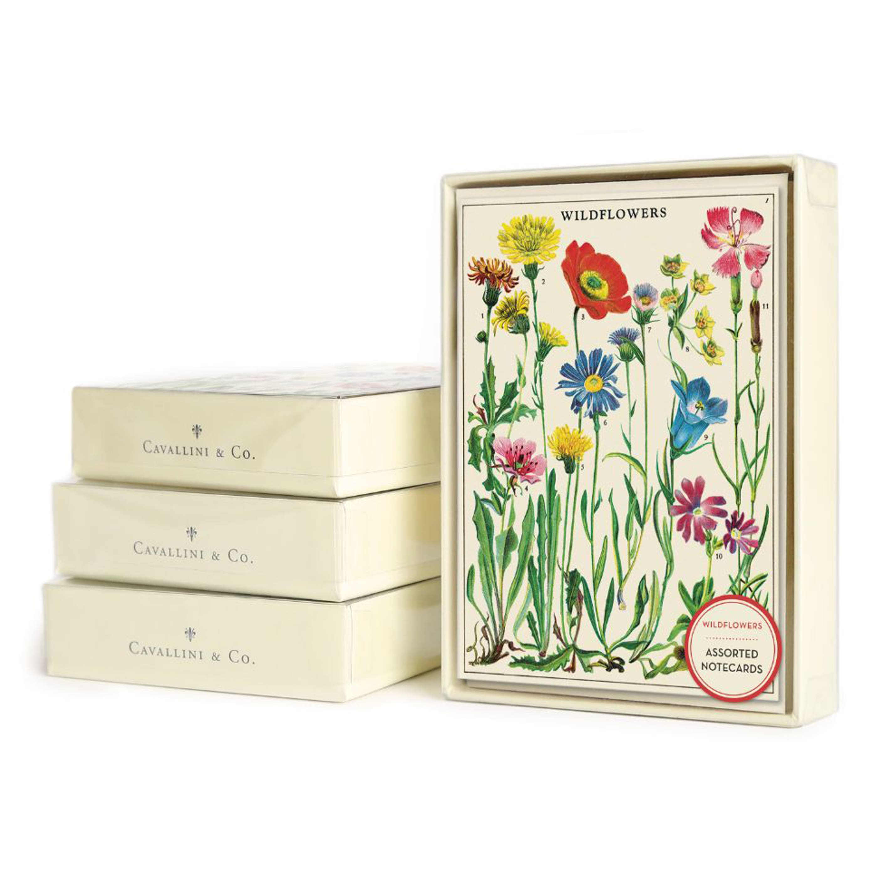 All Occasion Card | Boxed Set | Wildflowers | Cavallini & Co.