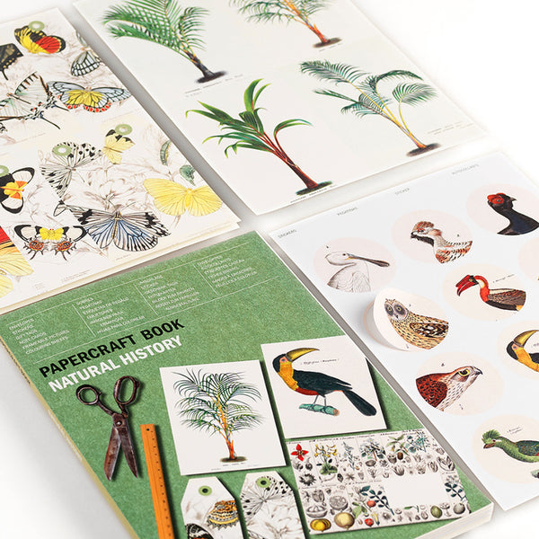 Art & Craft Book | Papercraft Book | Natural History | Pepin Press