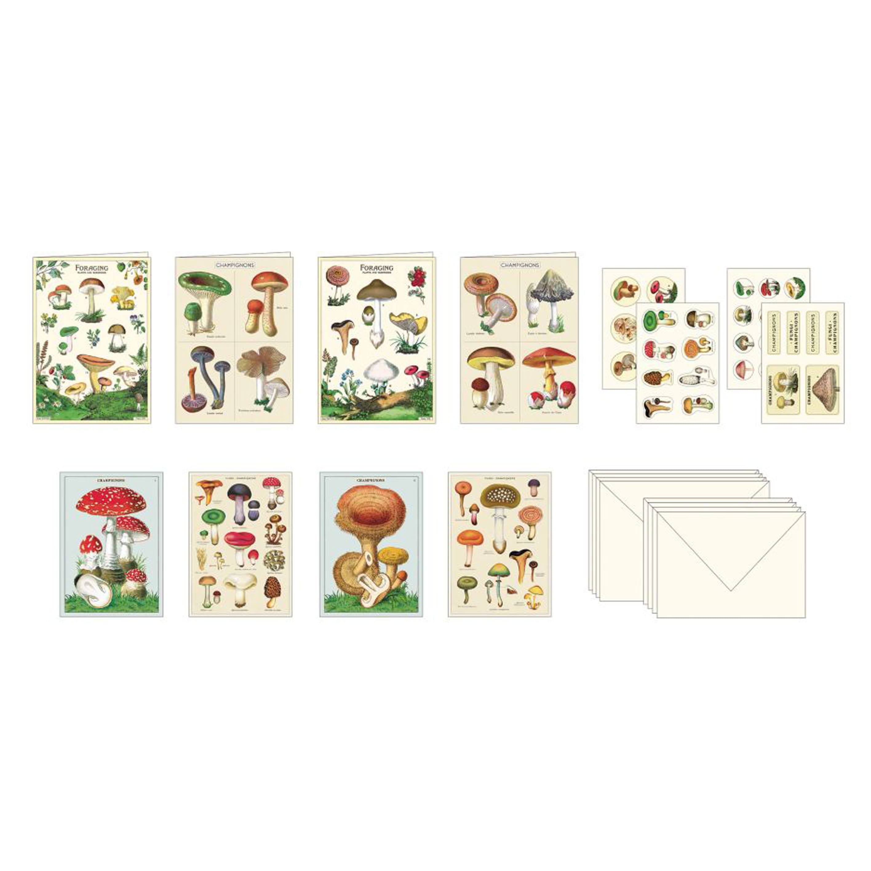 All Occasion Card | Boxed Stationery Set | Mushrooms | Cavallini & Co.