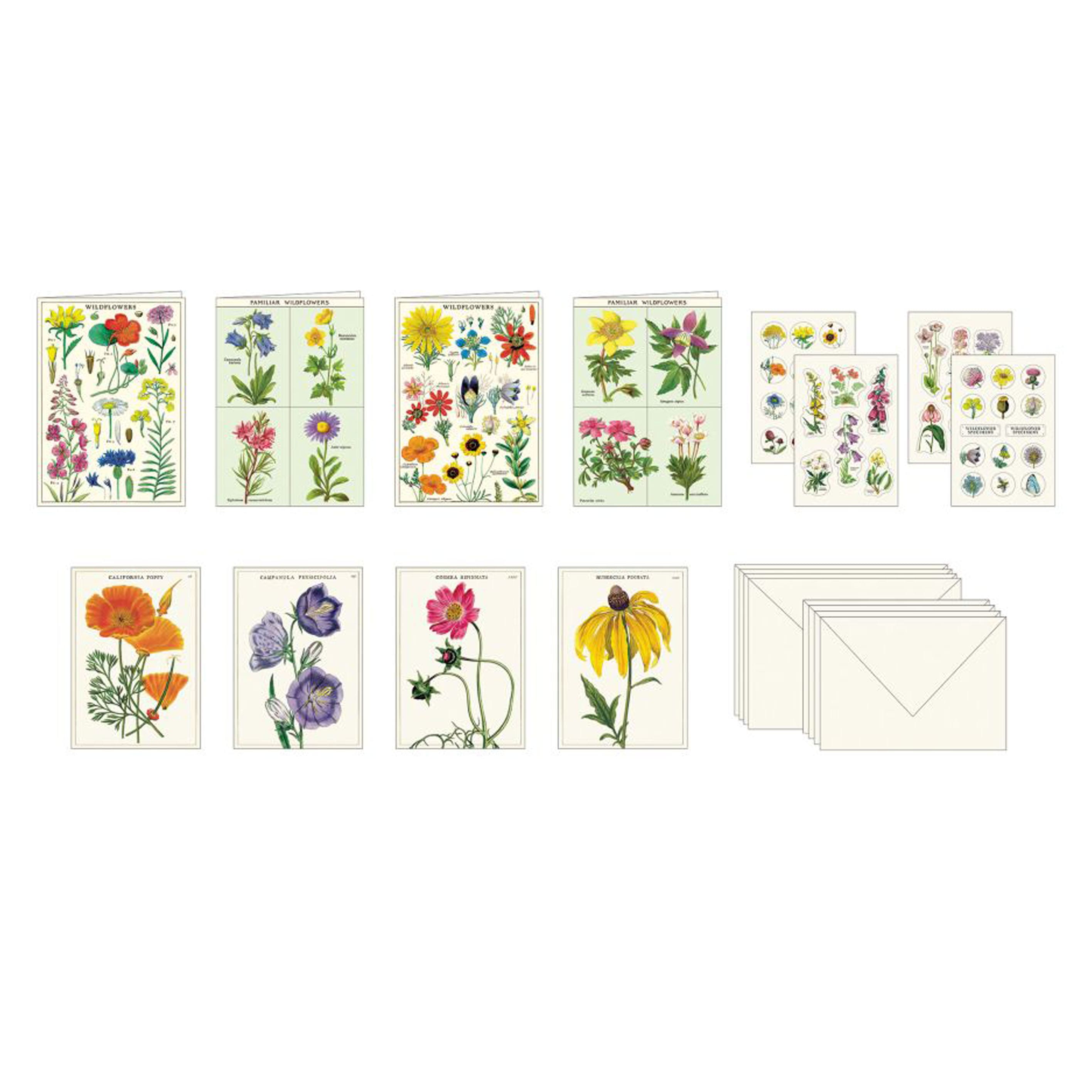 All Occasion Card | Boxed Stationery Set | Wildflowers | Cavallini & Co.