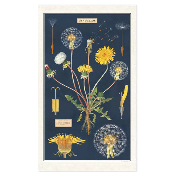 Tea Towel | Dandelion | Cavallini & Co.