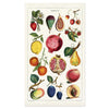 Tea Towel | Fruit | Cavallini & Co.