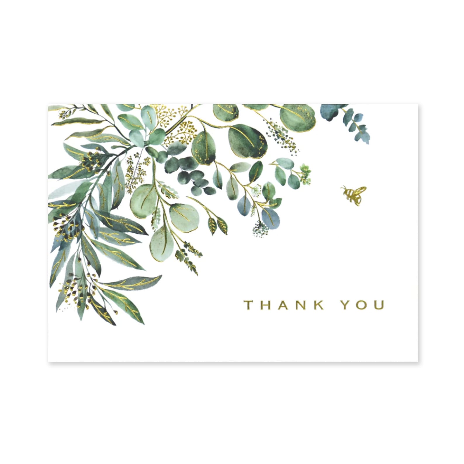 Thank You Card | Boxed Set | Eucalyptus | Peter Pauper