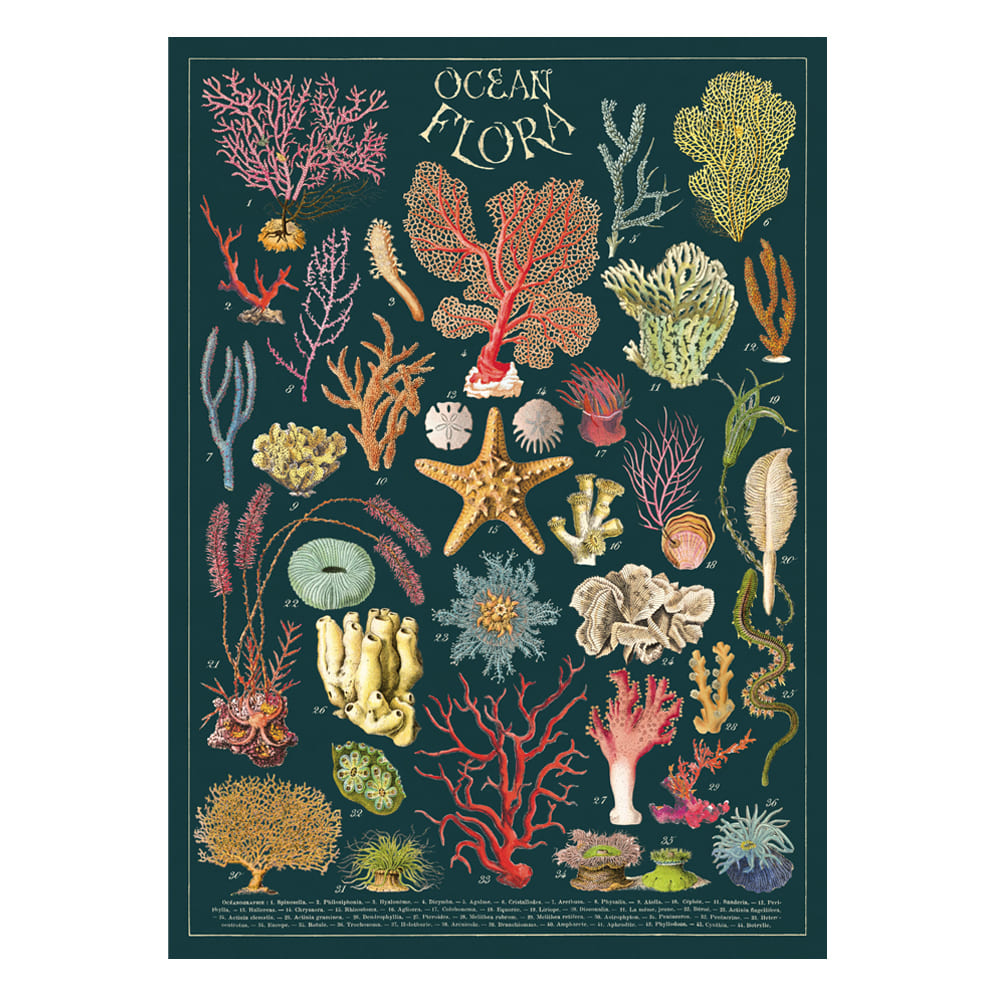 Vintage Poster | Ocean Flora | Cavallini & Co.