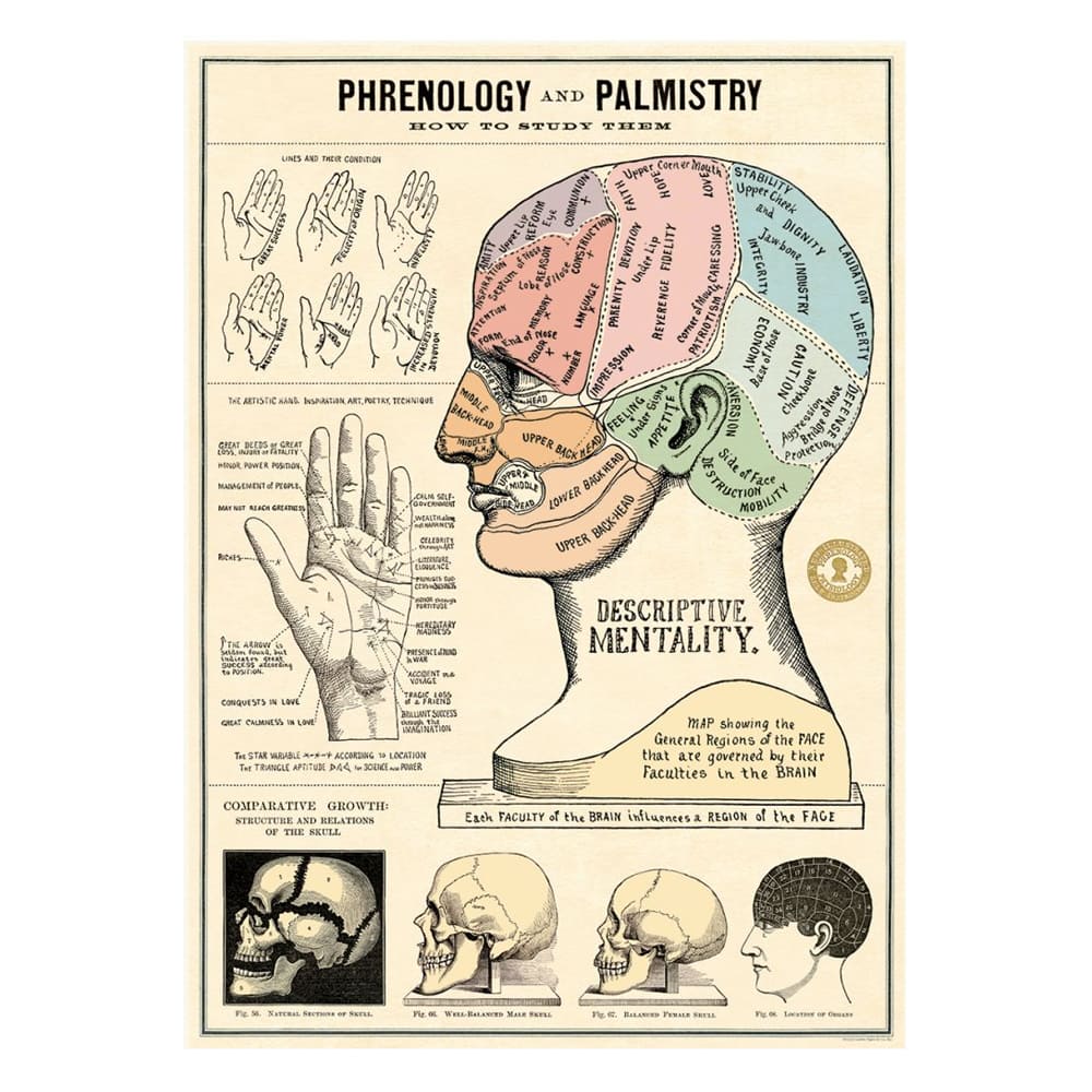 Vintage Poster | Phrenology & Palm | Cavallini & Co.