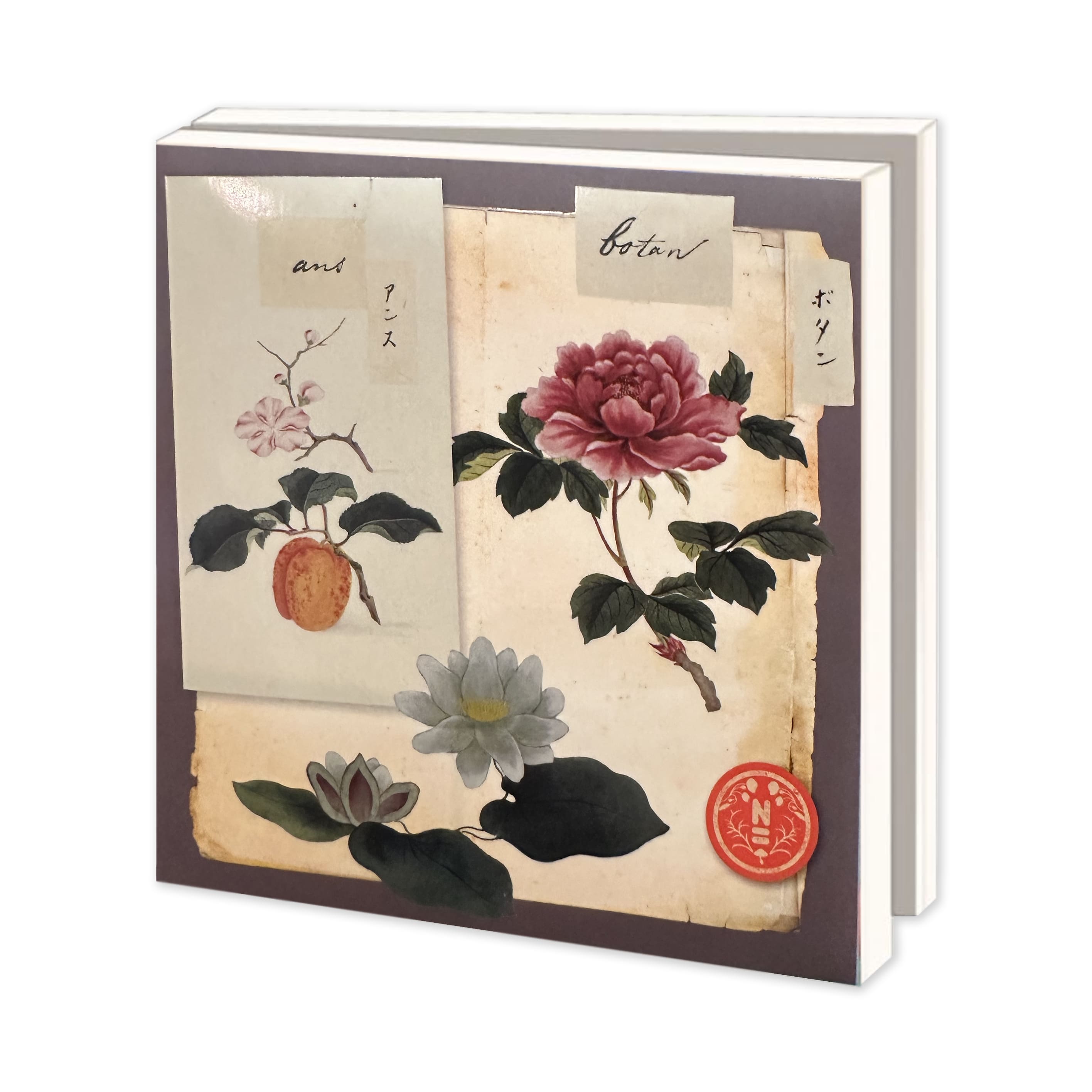 All Occasion Card | Wallet Card Set  | Square | Flowers Naturalis Biodiversity Center | Bekking & Blitz