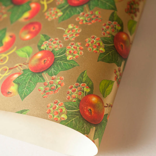 RoCRT072: Rossi Apples and Ivy Paper - Kami Paper