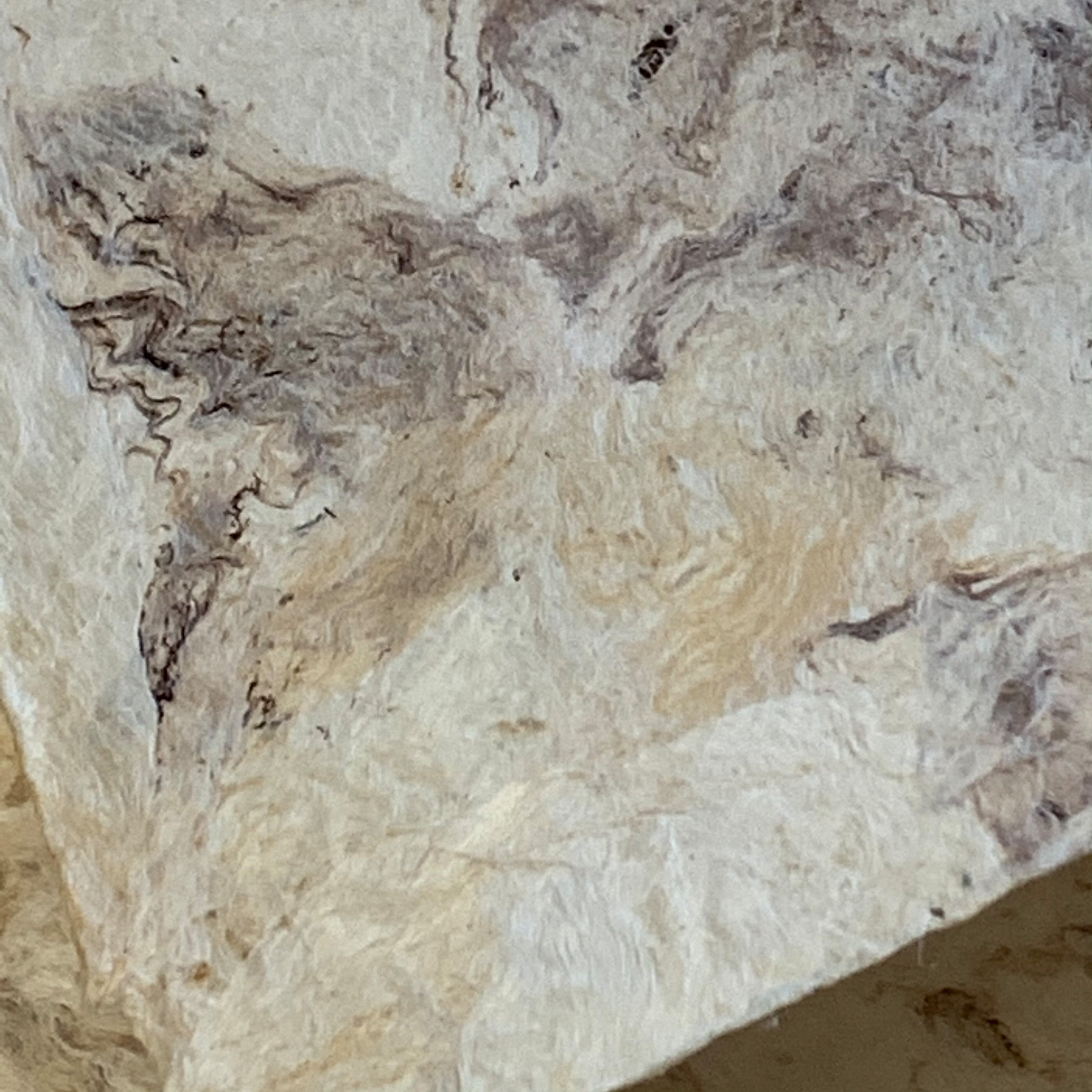 Handmade Mexican Paper | Amate | Solid | Mottled Brown