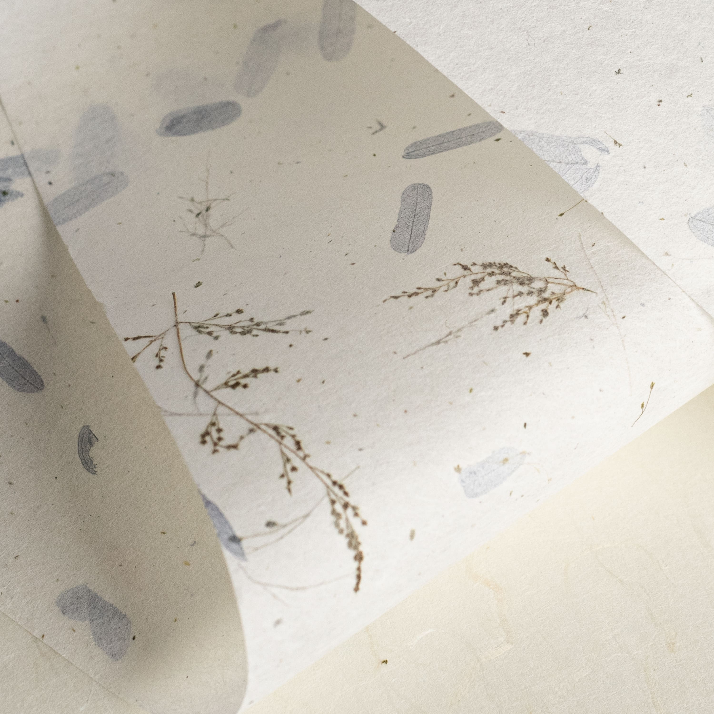 Thai Paper | Tamarind Leaf | 10 COLOUR OPTIONS AVAILABLE